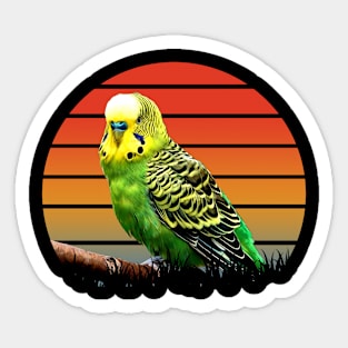 Feathered Flock: Budgies Take Flight on Dynamic T-Shirt Design Sticker